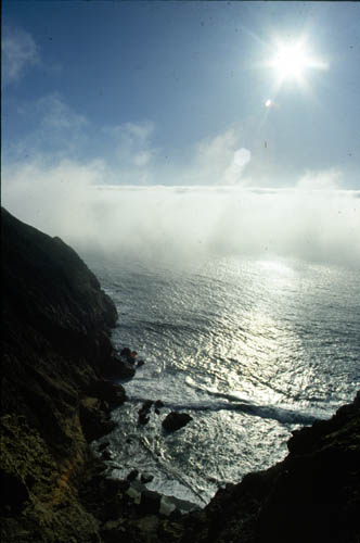 santacruz